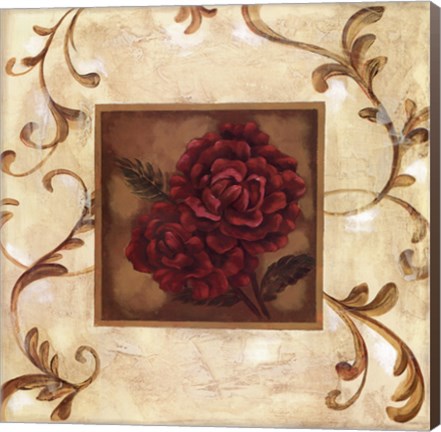 Framed Golden Scroll I Print