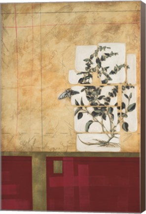 Framed Spice Of Life II Print