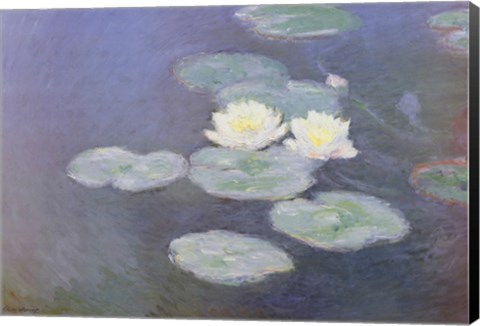 Framed Nympheas Effet Du Soir Print