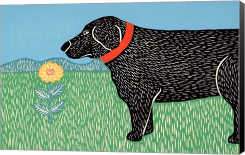 Framed Nature Dog Good Dog Print