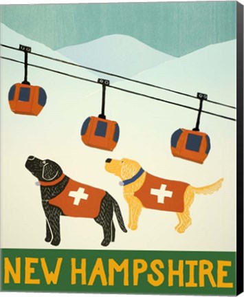 Framed New Hampshire Ski Patrol Print