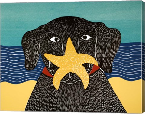 Framed Starfish Print