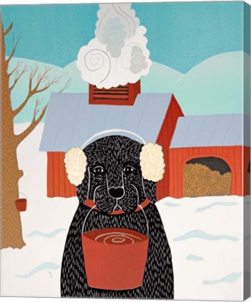 Framed Sugaring Print