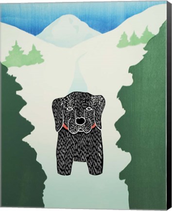 Framed Through The Woods Print