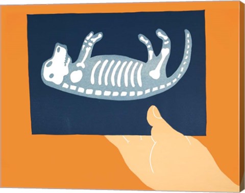 Framed X-ray Print