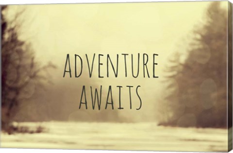 Framed Adventure Awaits II Print