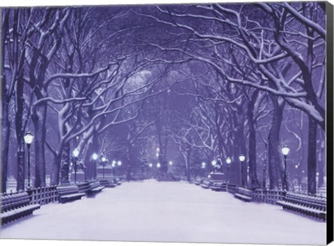 Framed Winter In Central Park Print