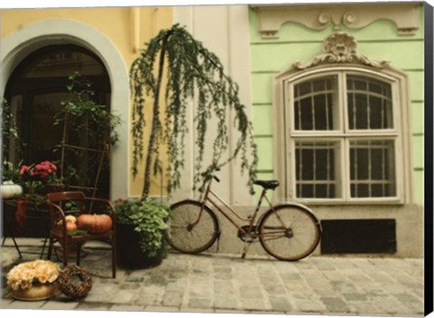 Framed Vienna Ride Print