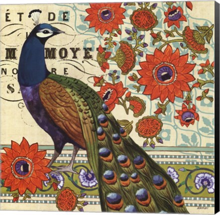 Framed Vintage Peacock II Print