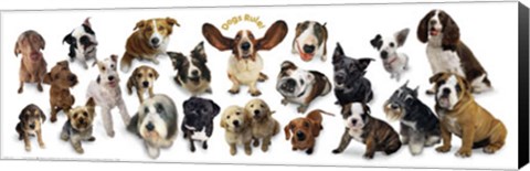 Framed Dogs Rule Print