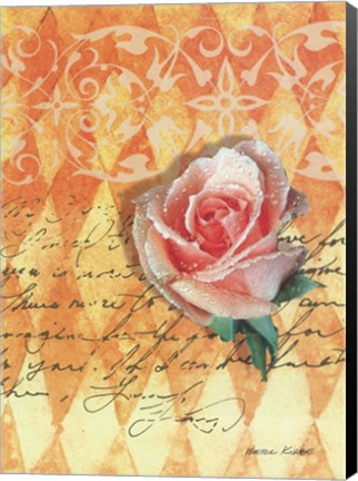 Framed Blush Rose Print