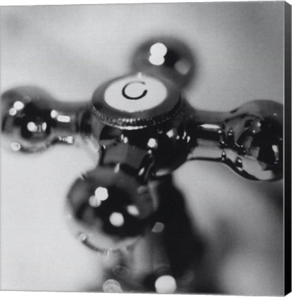 Framed Cold Water Print