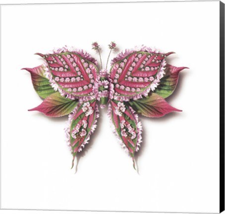 Framed Pinkus Verdes Print