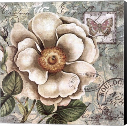 Framed French Postcard II Print