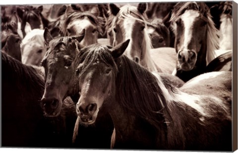 Framed Standing Room Only Print