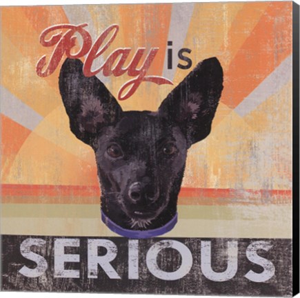 Framed Serious Print