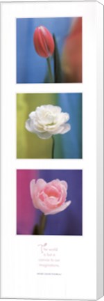 Framed Floral Canvas Print