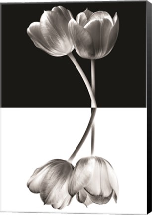 Framed Black And White Print