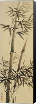 Framed Bamboo Forever I Print