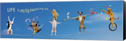 Framed High Wire Menagerie Print