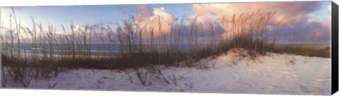 Framed Seaside Symphony Print