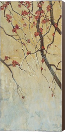 Framed Blossom Panel II Print