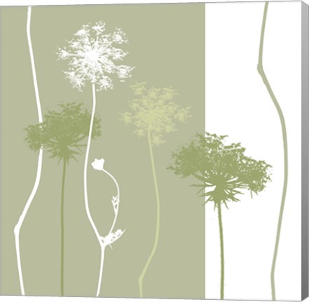 Framed Queen Anne&#39;s Lace Print