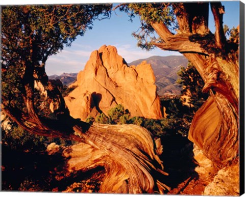 Framed Garden of the Gods, CO Print