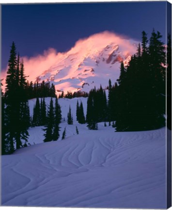 Framed Mt Rainier National Park, Washington State Print