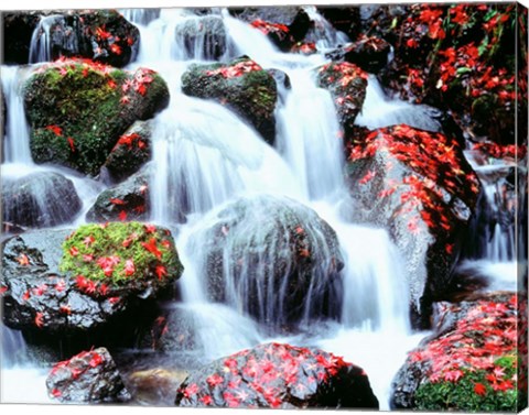 Framed Waterfalls, Kyoto, Japan Print