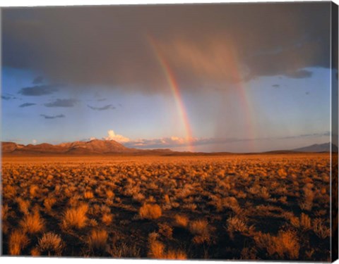 Framed Nevada Desert Rainbow Print