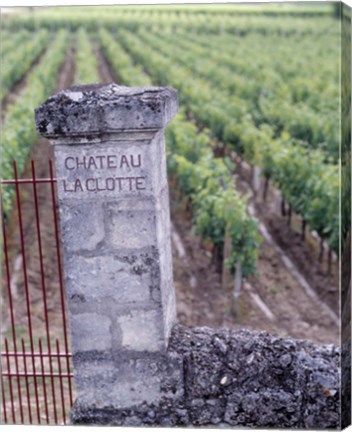 Framed Chateau La Clotte, Bordeaux, France Print