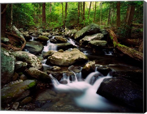 Framed LeConte Creek, Great Smoky Mountains National Park Print