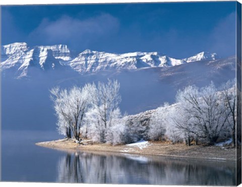 Framed Deer Creek State Park Print