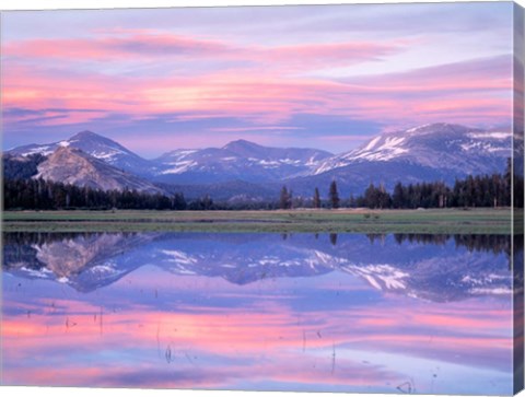 Framed Tuolumne River, CA Print