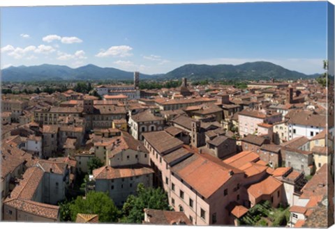 Framed Torre Guinigi, Lucca, Tuscany, Italy Print