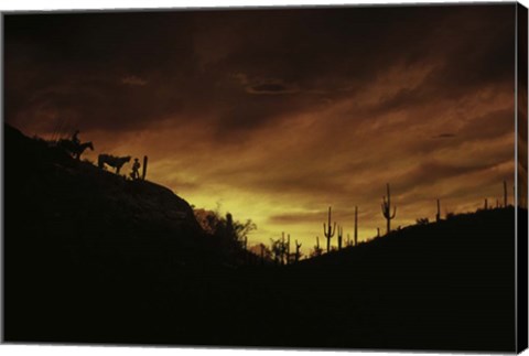 Framed Sunset over The Sonoran Desert, AZ Print