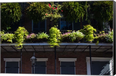 Framed French Quarter, New Orleans, Louisiana Print