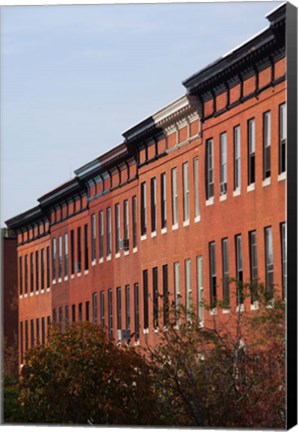 Framed Row Houses in the City, Bolton Hill, Baltimore, Maryland Print