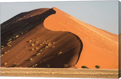 Framed Sand Dune, Namib Desert, Namib-Naukluft National Park Print