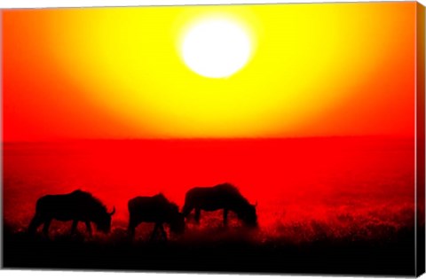 Framed Wildebeests, Etosha National Park, Namibia Print