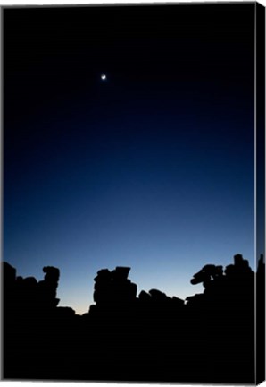 Framed Quiver Tree Forest at Night, Namibia Print