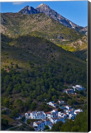 Framed El Acebuchal, Malaga, Spain Print