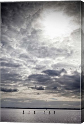 Framed Paddle Boarders on Strangford Lough, Northern Ireland Print