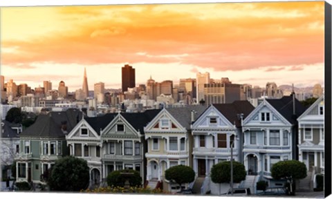 Framed Transamerica Pyramid, San Francisco, California Print