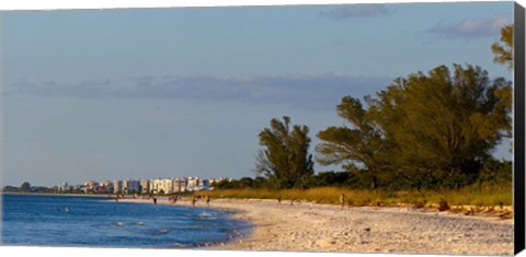 Framed Beach, Naples, Collier County, Florida Print