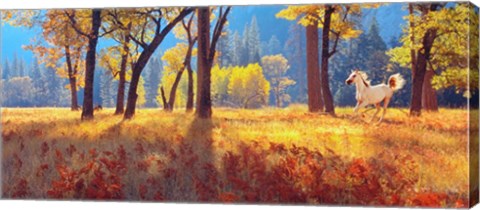 Framed Yosemite Park, California Print