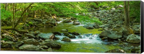 Framed Creek in Great Smoky Mountains National Park, Tennessee Print