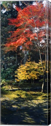 Framed Statue of Buddha in a garden, Anraku-Ji Temple, Kyoto Prefecture, Japan Print