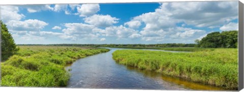 Framed Myakka River State Park, Sarasota, Florida Print